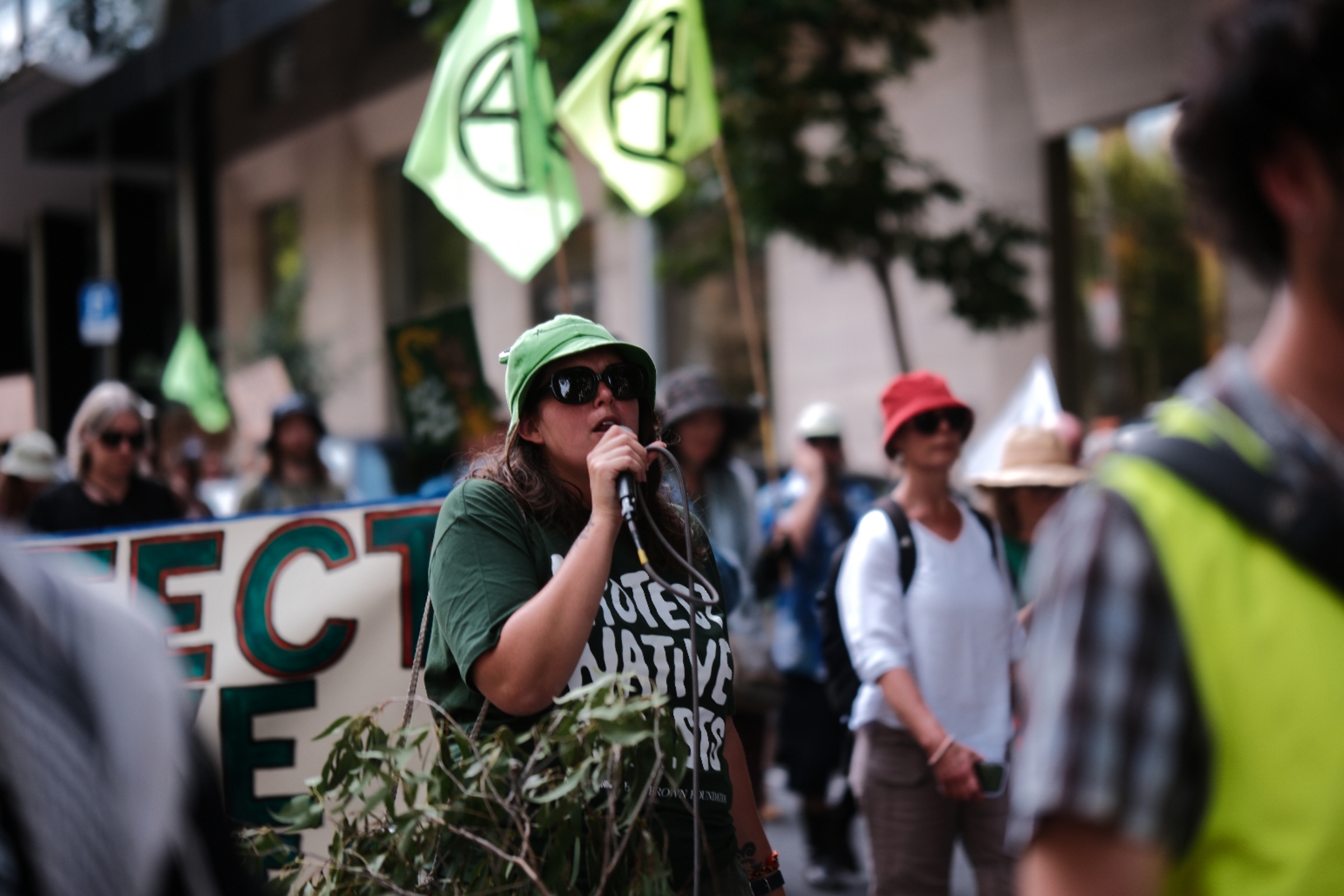 “We will march! We will roar! Forests are worth fighting for!”